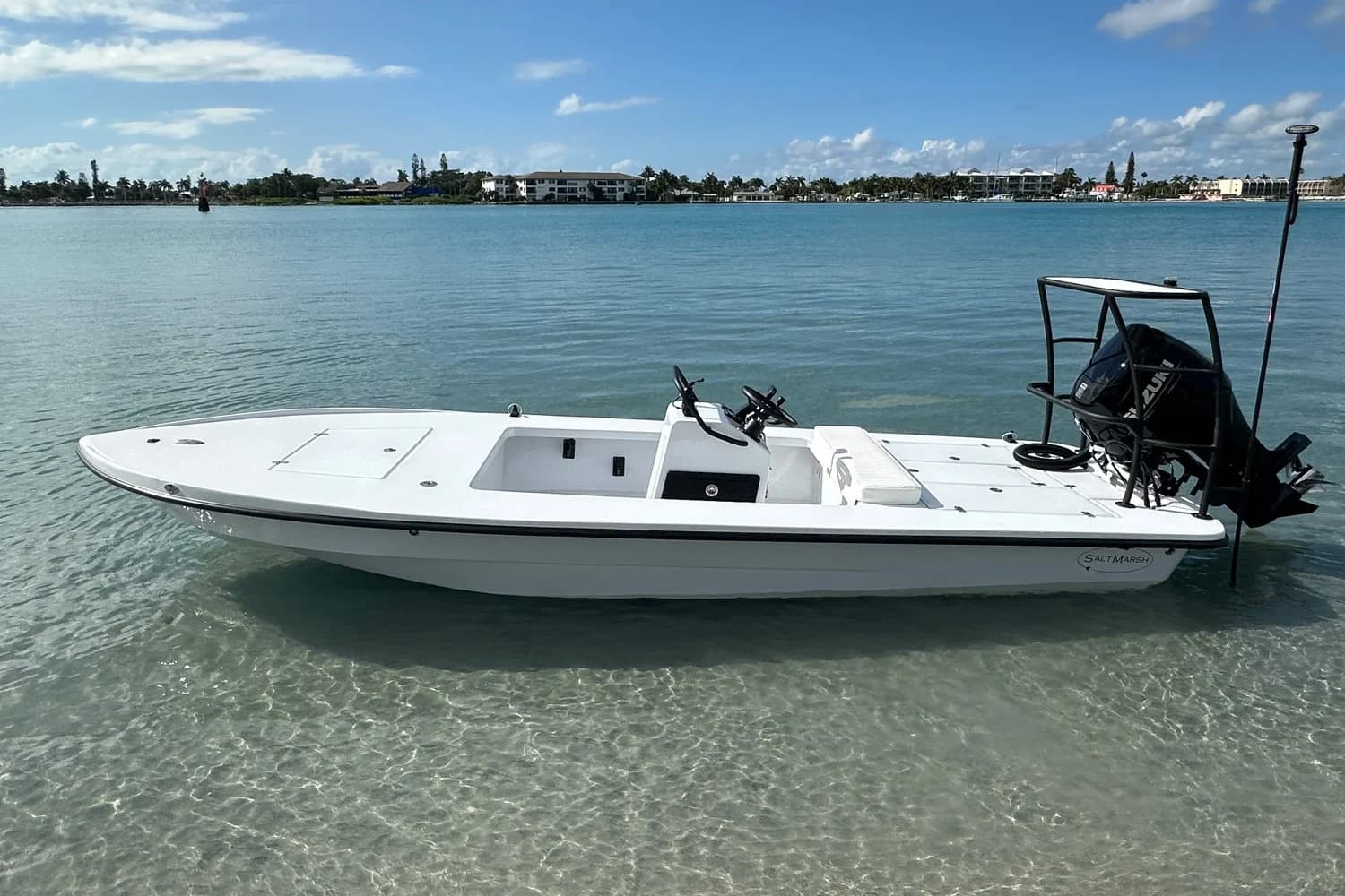 Salt Marsh Heron 18 profile