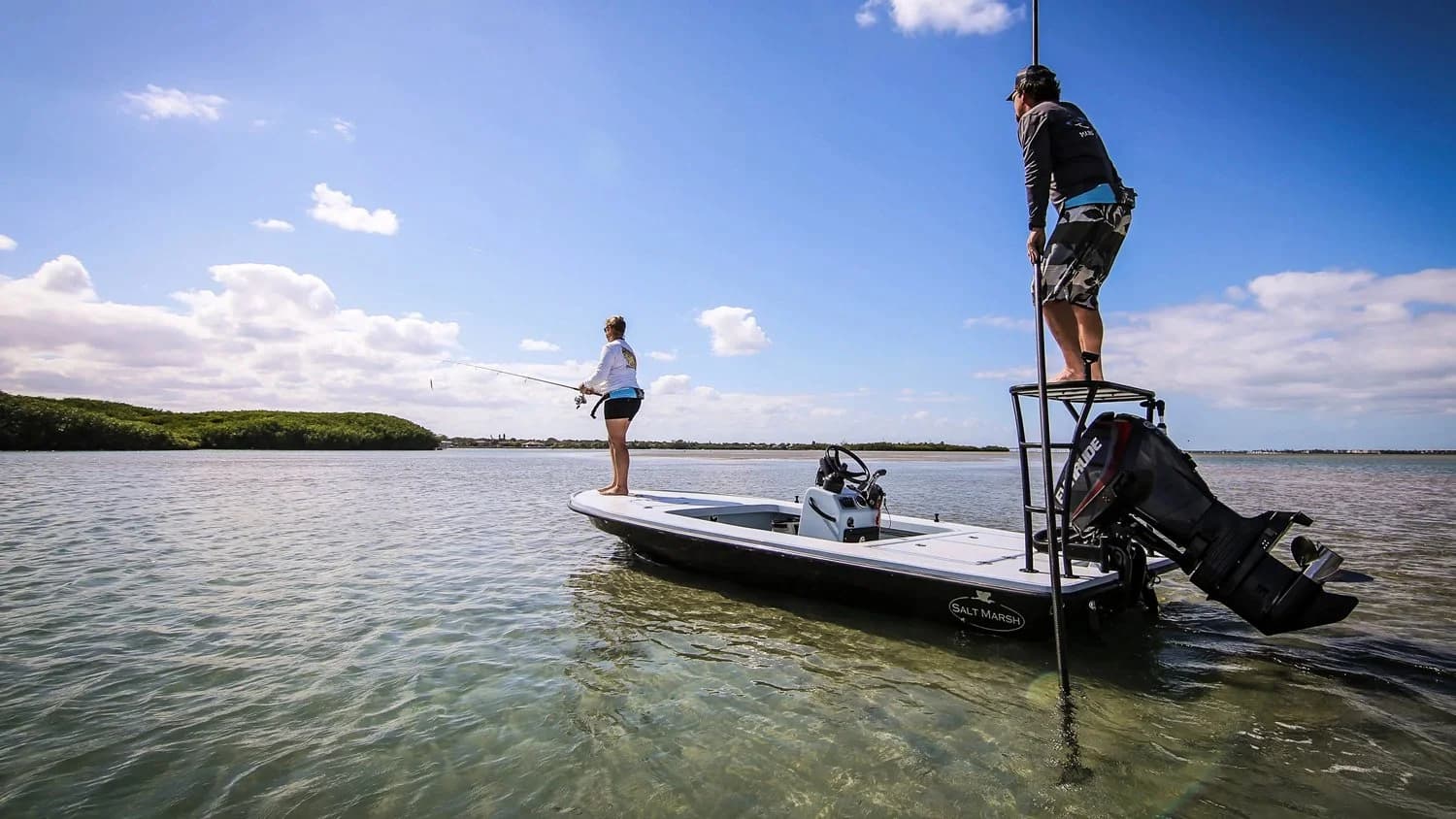 Salt Marsh Heron 16 — hero